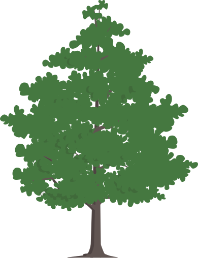 arbre