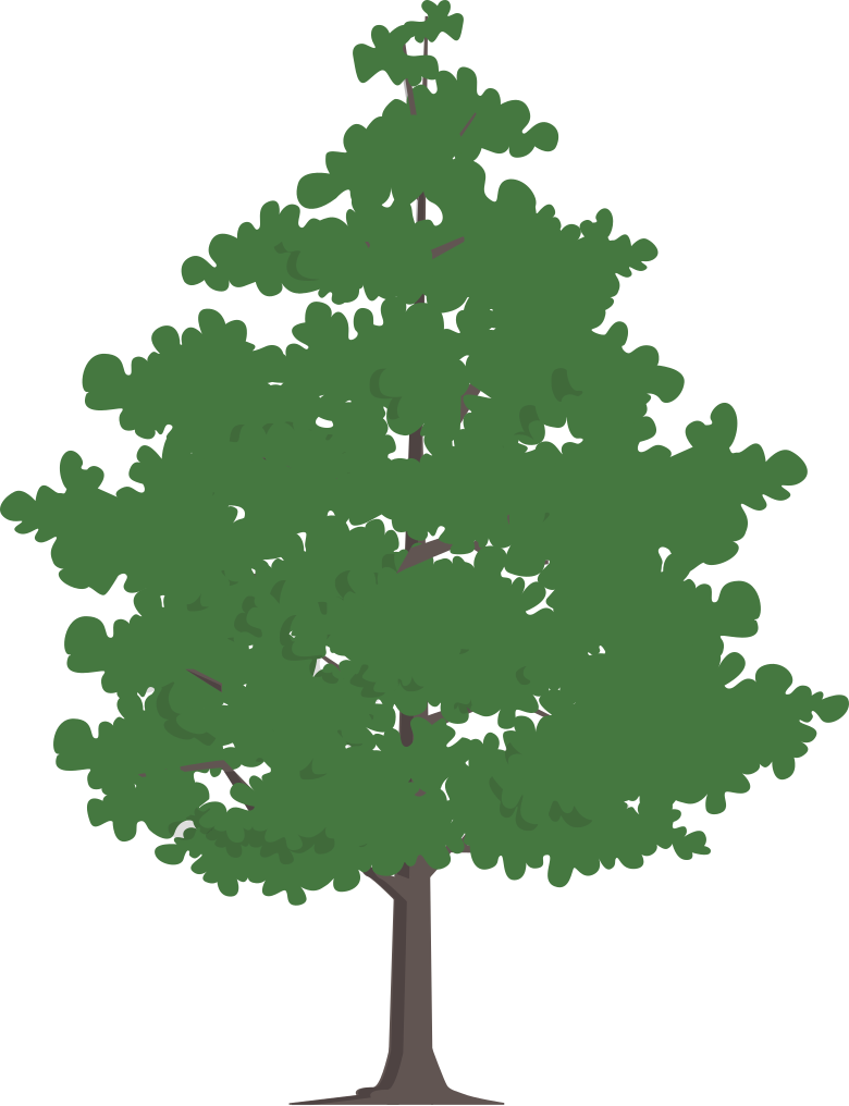 arbre