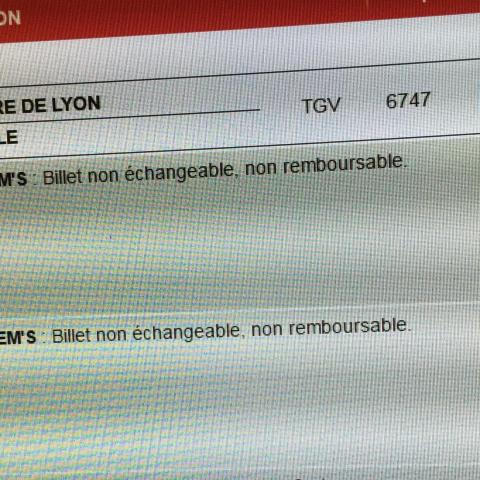 troc de  2 billets TGV Paris-Dijon 10 décembre à 9h, sur mytroc