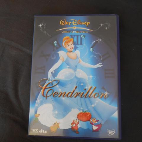 troc de  cendrillon, sur mytroc