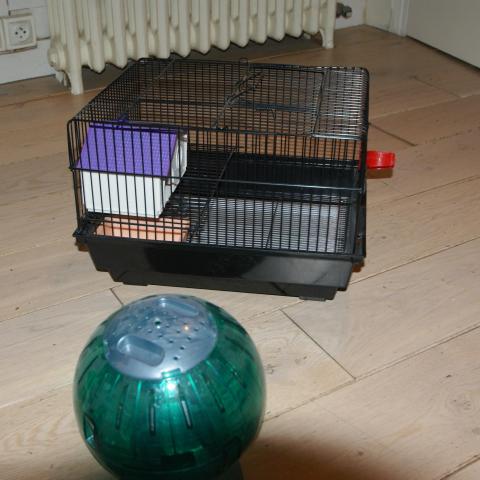 troc de  Cage Hamster, sur mytroc