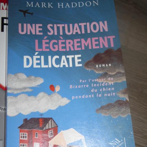 troc de  Une situation léfèrement délicate - Mark Haddon + frais de ports, sur mytroc