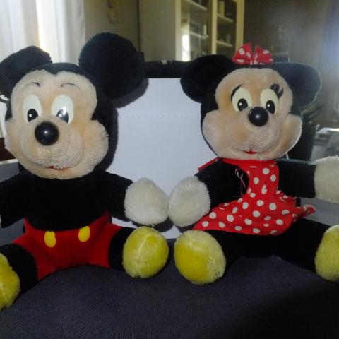 troc de  MICKEY et MINNIE, sur mytroc