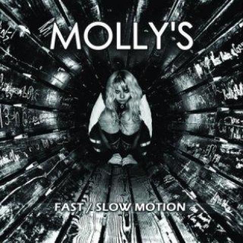 troc de  Album CD Molly's "Fast / Slow Motion" - (très) bon état, sur mytroc