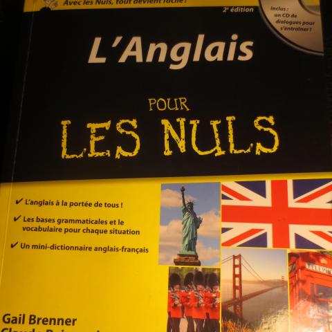 troc de  L'anglais pour les nuls, sur mytroc