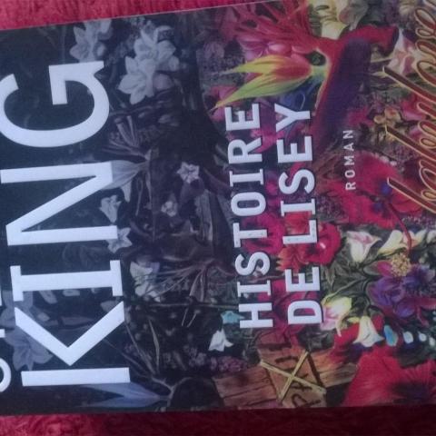 troc de  Livre Stephen King- Histoire de Lisey, sur mytroc