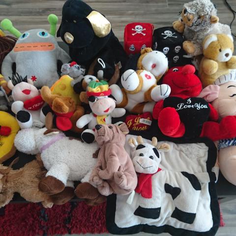 troc de  Lot de peluches, sur mytroc