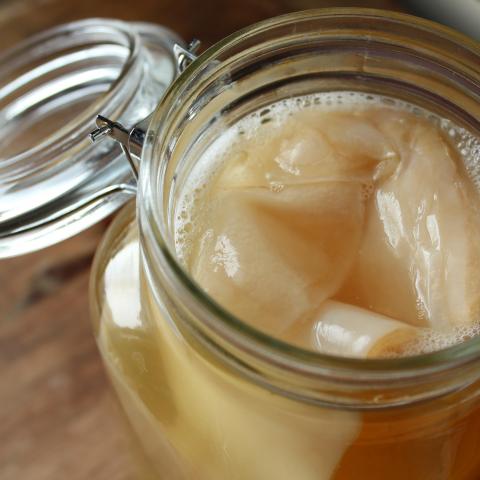 troc de  SCOBY ou souche et conseils pour faire sa propre kombucha, sur mytroc