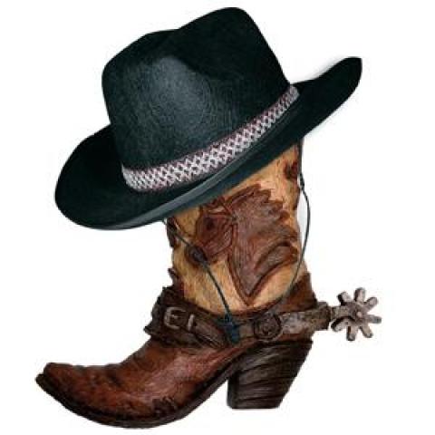 troc de  coach/remise à niveau en line dance/country, sur mytroc