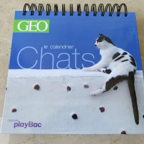Troc Calendrier Perpetuel Chats Geo