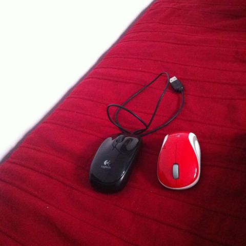 troc de  2 SOURIS, sur mytroc