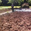 troc de troc jardin ,potager bio , création florale . image 0