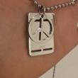 troc de troc collier d&g dolce gabbana acier pendentif plaque image 1