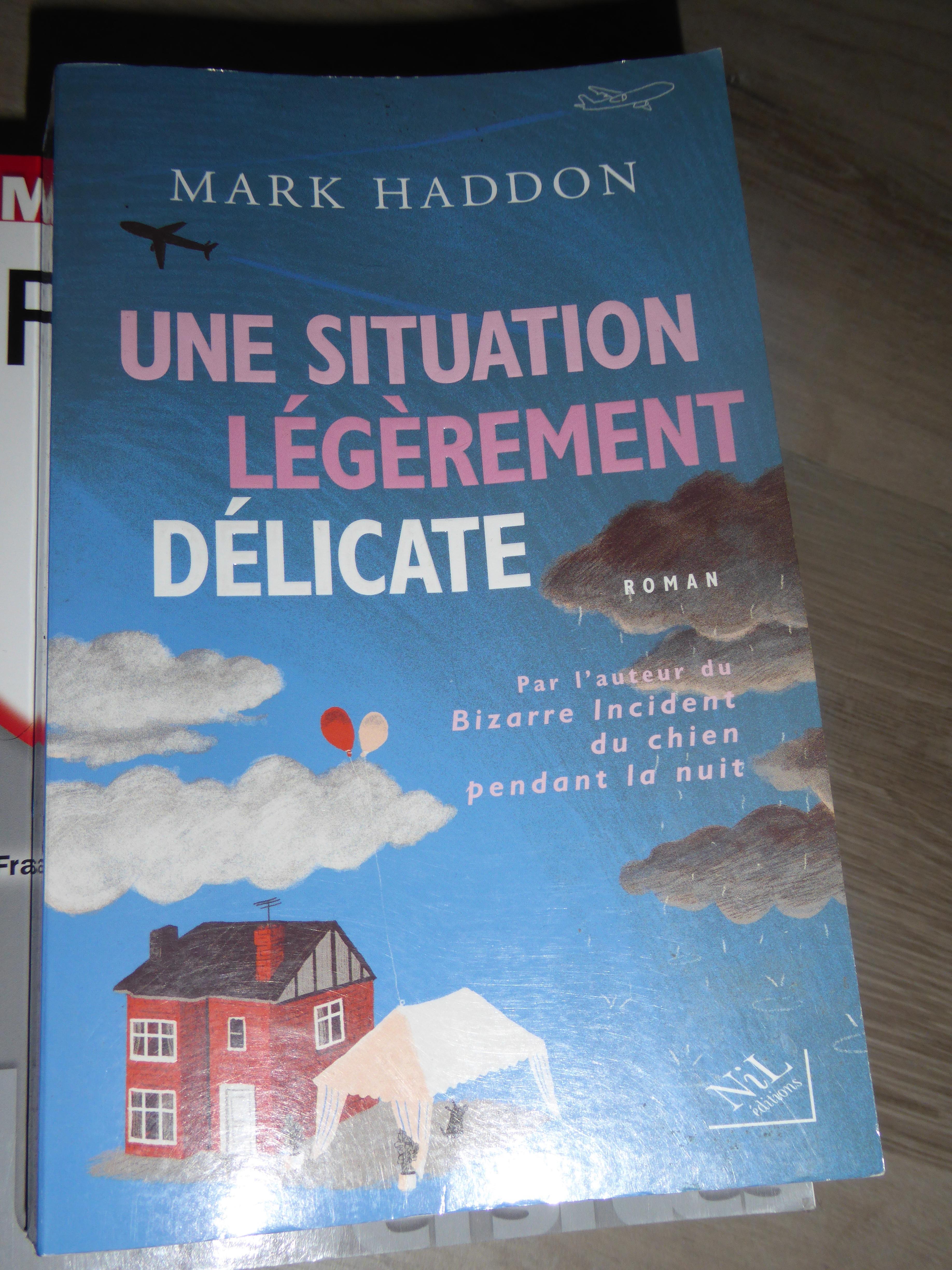 troc de troc une situation léfèrement délicate - mark haddon + frais de ports image 0