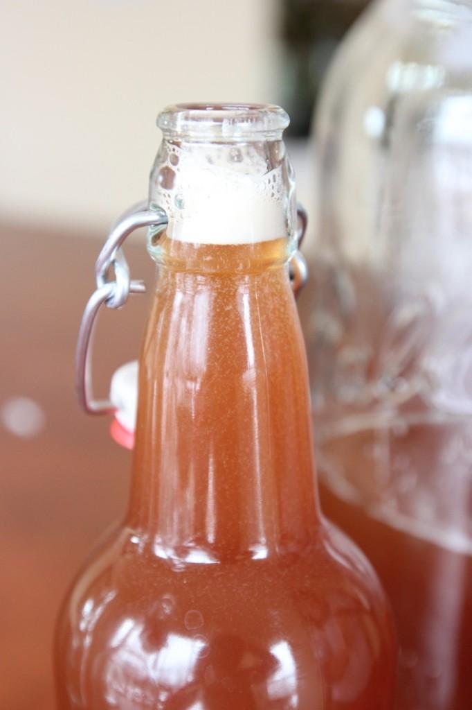 troc de troc scoby ou souche et conseils pour faire sa propre kombucha image 1