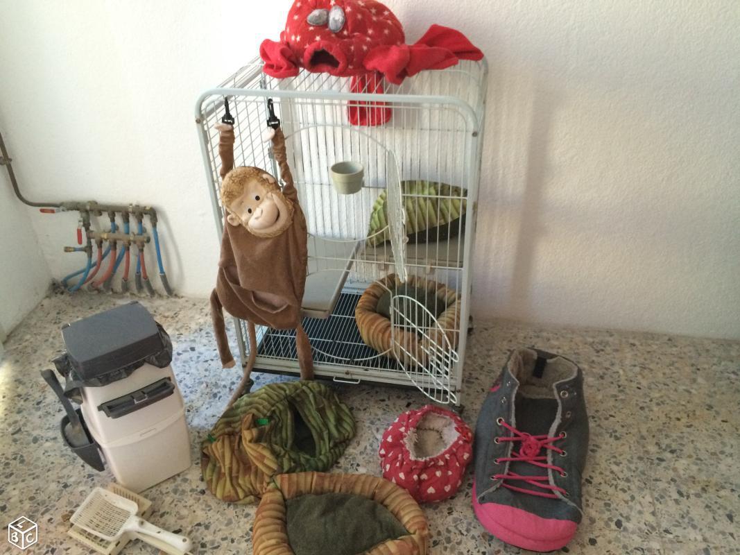 troc de troc lot cage et accessoire furet rongeur image 0