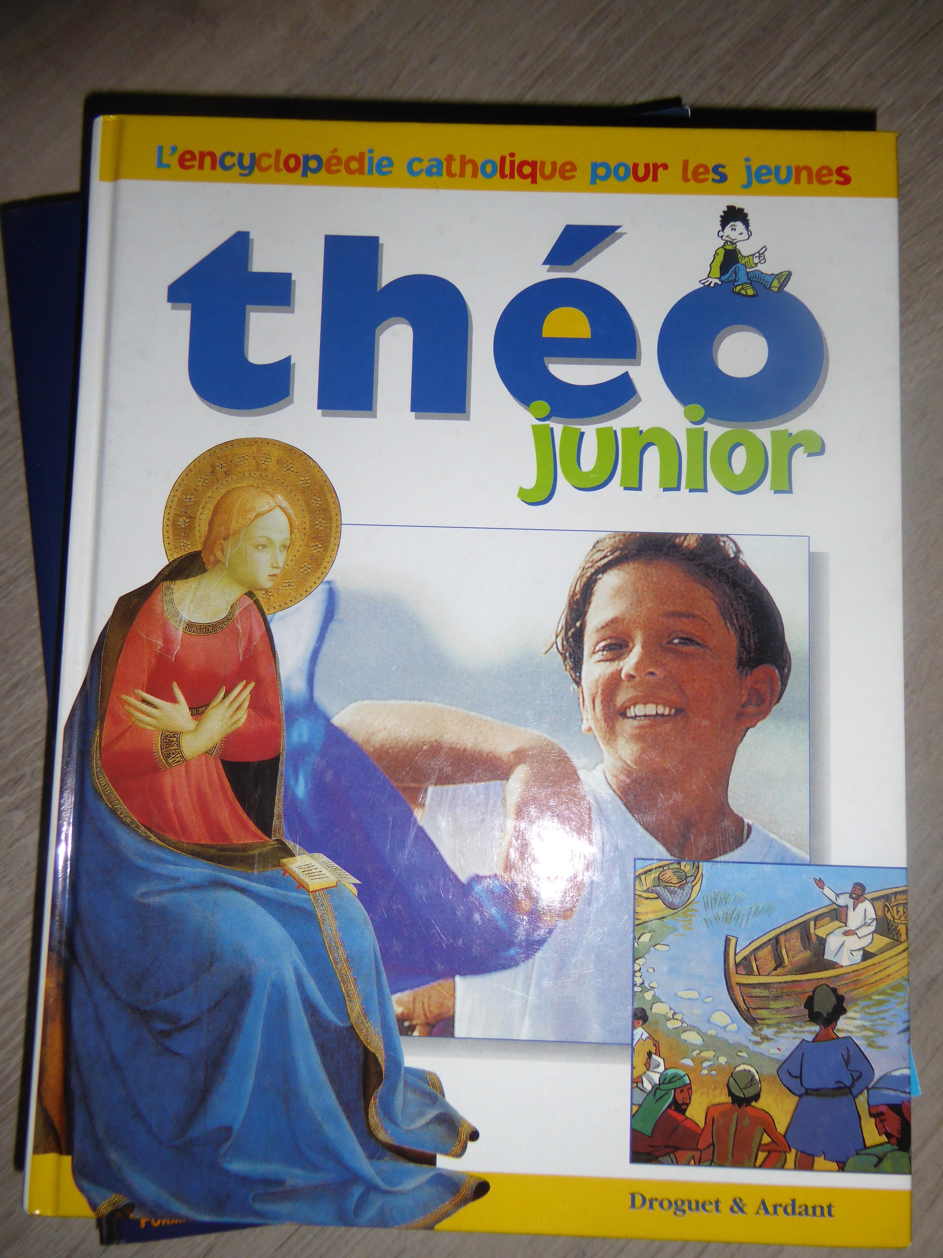 troc de troc théo junior + frais de ports image 0