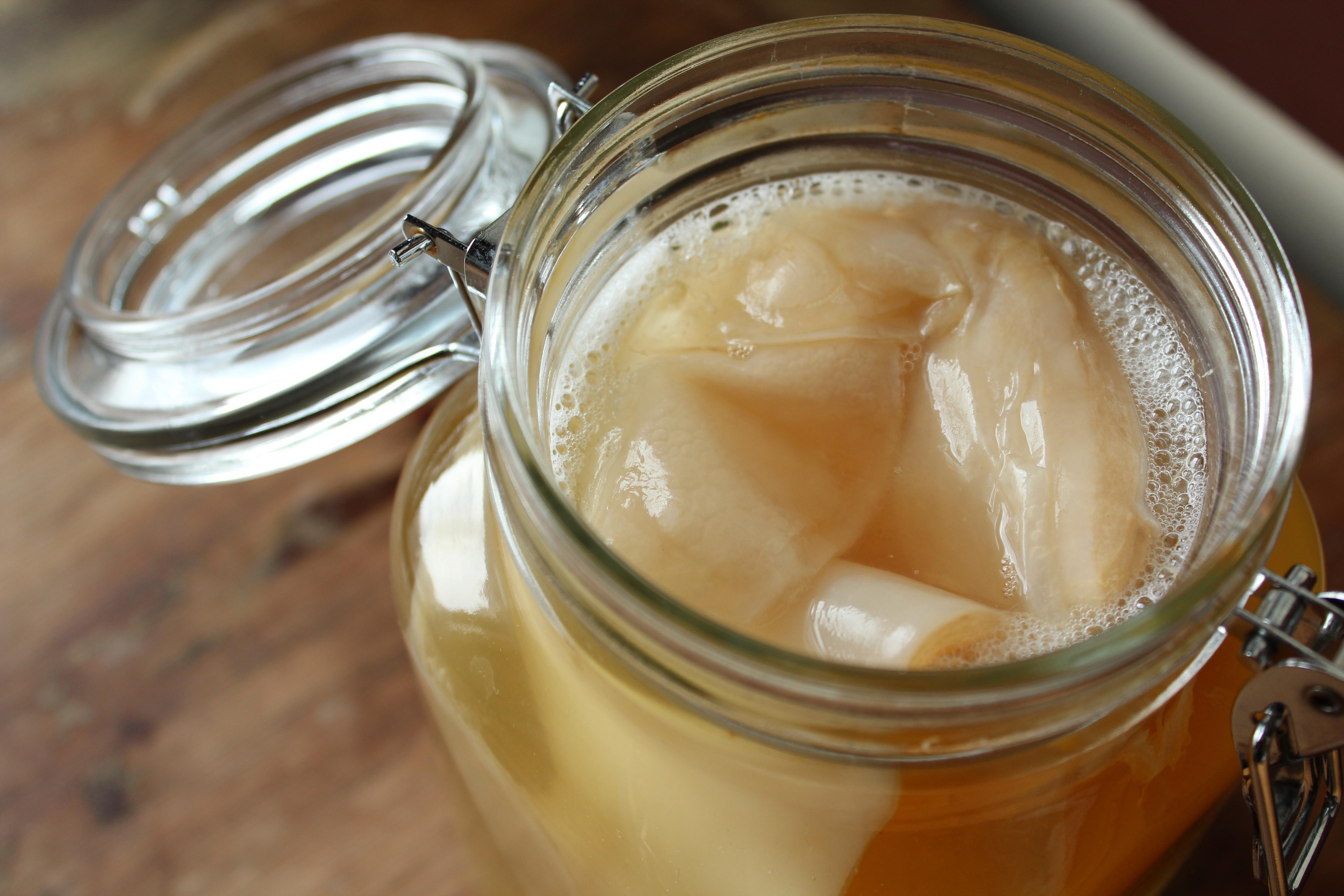 troc de troc scoby ou souche et conseils pour faire sa propre kombucha image 0