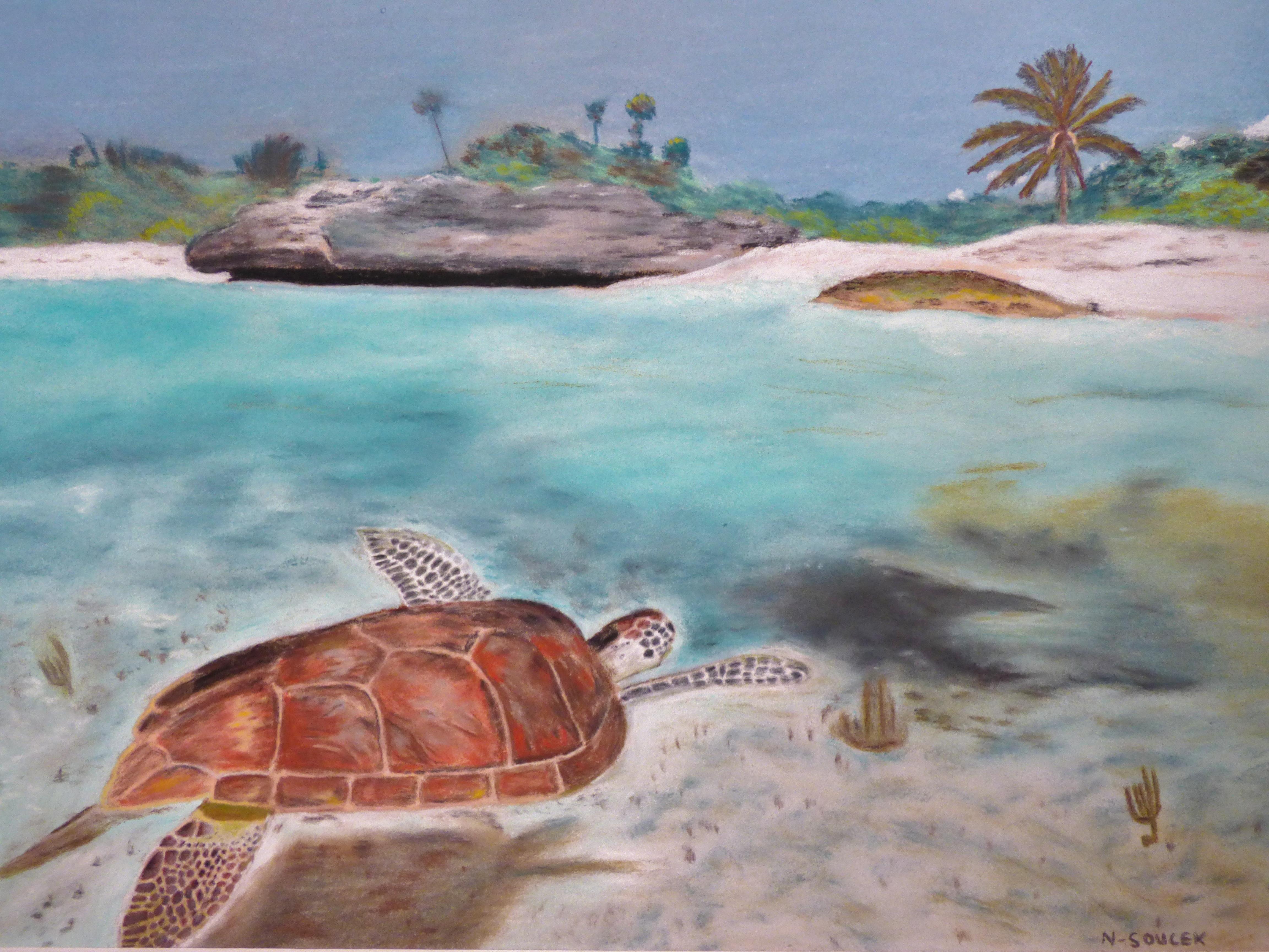 troc de troc tortue au lagon, pastel image 0