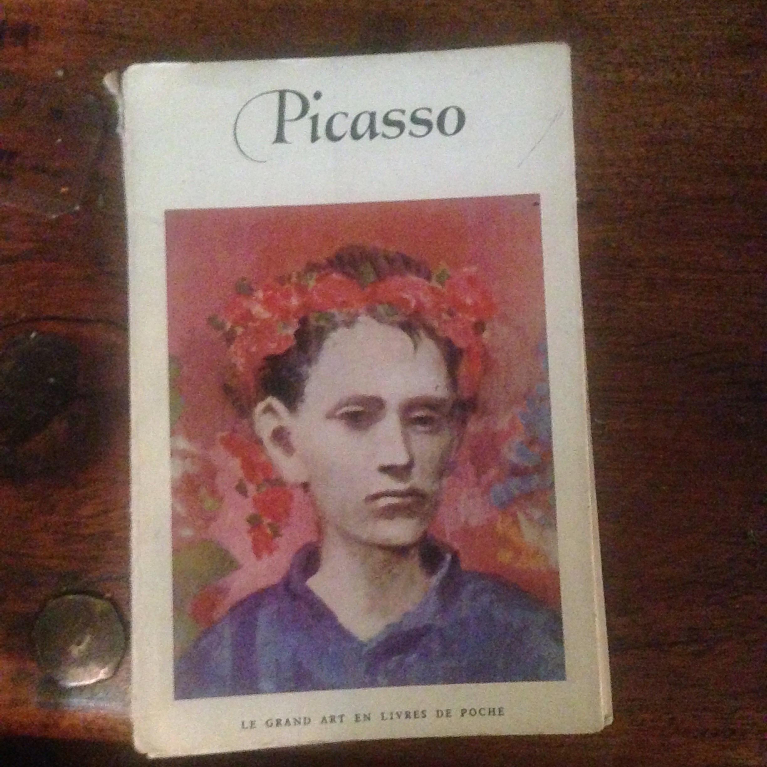 troc de troc petit livre picasso image 0