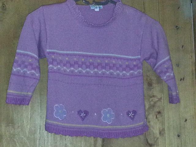 troc de troc pull 4/5 ans image 0