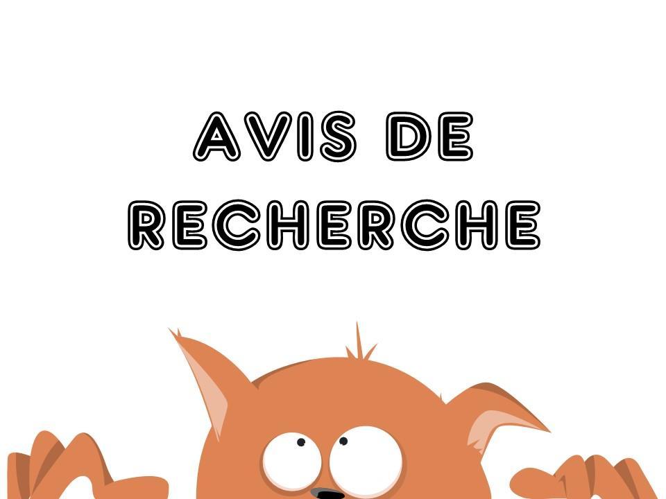 troc de troc mytroc recherche un ami troqueur pour le 23 image 0
