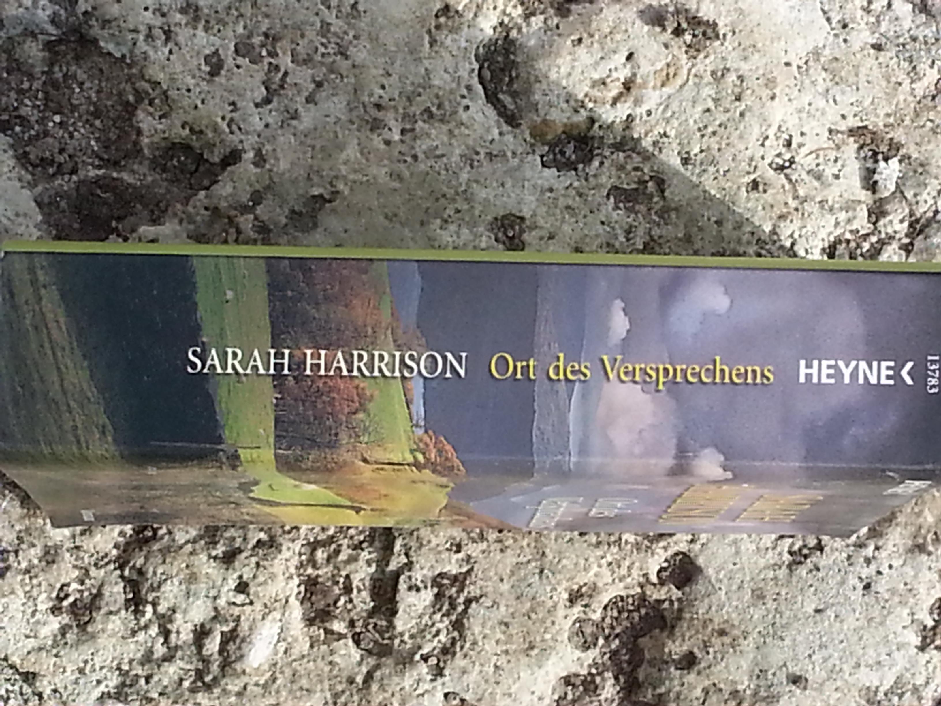 troc de troc ort des versprechens de sarah harisson image 1